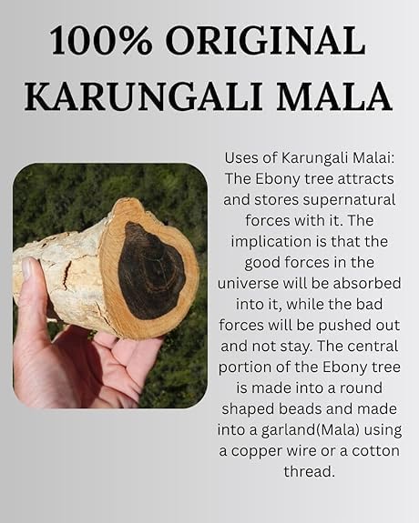 Image of Black Ebony Wood Karungali Mala with Trishool Nandi Rudraksha Pendant