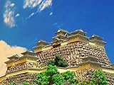 [完成品] 日本１００名城 現存天守１２城 丸亀城 ケース付き お城 模型 ジオラマ完成品 ミニサイズ