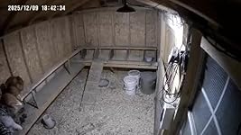 Review Image by BAMullenberg BAMullenberg