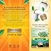 Twinings Lemon & Ginger Herbal Tea Individually Wrapped Bags, 25 Count (Pack of 6), Spicy Ginger, Lemon Peel, & Lemongrass, Naturally Caffeine-Free, Enjoy Hot or Iced, 150 Teabags