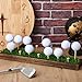 Simgoing 1 Piece Golf Ball Display Rack Floating Shelf Solid Wood Shelf Rack Wall Mounted Golf Ball Holder up to 15