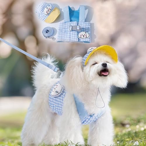 ETOSEM Dog Harness with Hat Set, Blue Gingham Pattern, Adjustable Safety Buckle and Leash Attachment (Blue, Small(1-4lb))