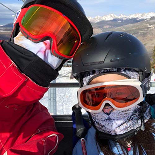 Image of Cat Balaclava,Dog Balaclava,Halloween Hat,Cute Full Face Hood Mask Animal Ski Mask for Hiking Riding Sports Outdoor