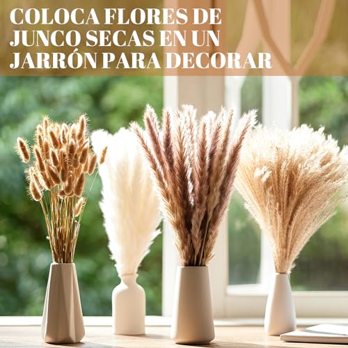 El mejor review de Decoración minimalista favoritos de las personas. 6 Imagen adicional