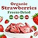 Food to Live Organic Freeze-Dried Strawberries, 4 Ounces – 100% Natural Berries, No Sugar Added, Vegan and Nutritious Snack – Perfect for Smoothies and Baking, Non-GMO, Kosher, Bulk