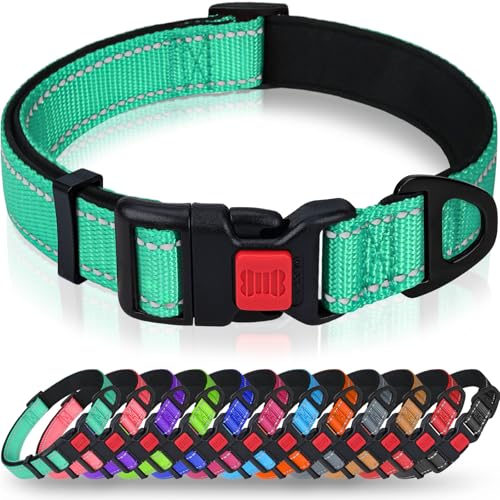Taglory Hundehalsband, Weich Gepolstertes Neopren Nylon Hunde Halsband für Welpen, Verstellbare und Reflektierend für das Training, Türkis