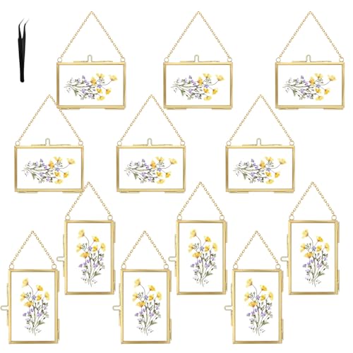 12 Pcs Double Glass Frame for Pressed Flowers Floating Hanging Photo Christmas Ornaments Frame Brass Frames with Chain for Wall Display Gallery Artwork Clear Vertical Horizontal Display for Botanical Art Picture Stamps Gallery Decor Gold