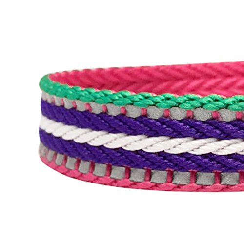 Collier pour petits chiens de promenade multicolore Blueberry Pet - 5