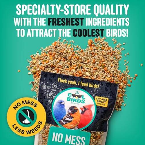 Cool Birds No Mess with Fruit Wild Bird Seed – 10 lb. 100% Edible Shell-Free Blend with Sunflower Hearts, Peanuts, Tree Nuts, Pumpkin Seed & Real Fruit – No Waste Bird Seed for Outside Feeders - Thumbnail 3