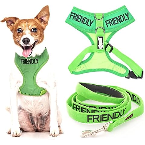 Friendly Green Non-Pull Dog Harness and Lead Set Cover