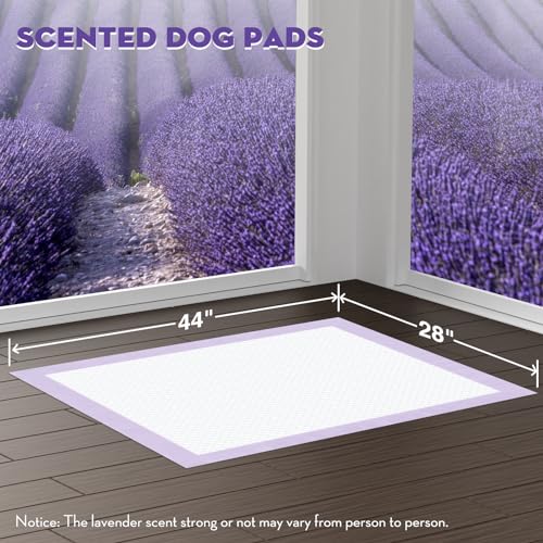 Image of CROCI Dog Pads Extra Large 28x44in, Puppy Pads with Adhesive Tabs Super Absorbent Up to 12 Cups, Disposable (30 Counts)