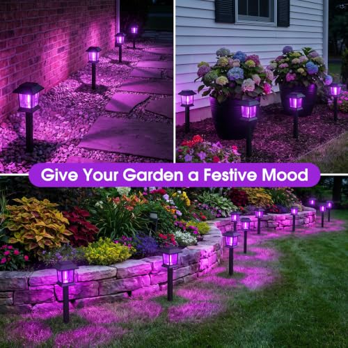 Image of Greluna Solar Lights Outdoor,12 Pack Purple Waterproof Auto On /Off Solar Pathway Lights for Your Garden, Landscape, Path, Yard, Patio, Driveway,Walkway Halloween Decor