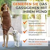 Canny Collar Hundehalfter – Anti-Zug Kopfgeschirr für Hunde | Stoppt Ziehen an der Leine sanft & effektiv | Trainingshilfe für entspannte Spaziergänge – Größe 4, Schwarz