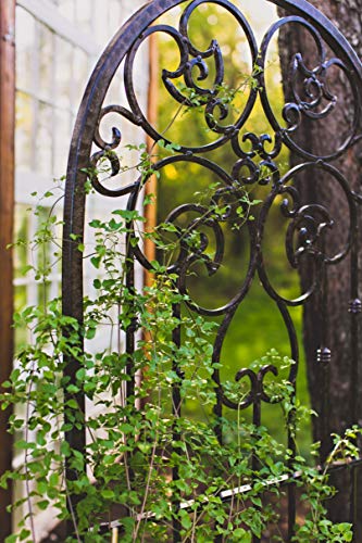 H Potter Wall Trellis Indoor Outdoor Wrought Iron Heavy Scroll Metal Decoration Large With Set Of 4 Mounting Brackets #TOP5