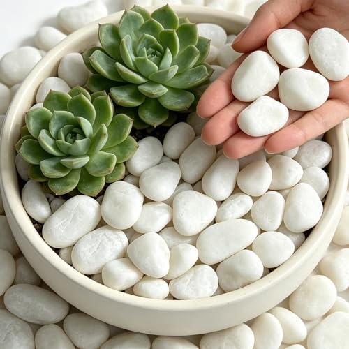 12 lbs White Rocks for Landscaping, 1-2 Inch Pebbles for Plants, ...
