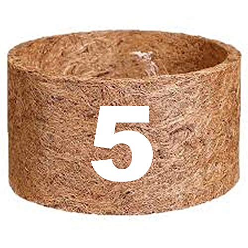 Vaso de fibra de coco Nutricoco 05