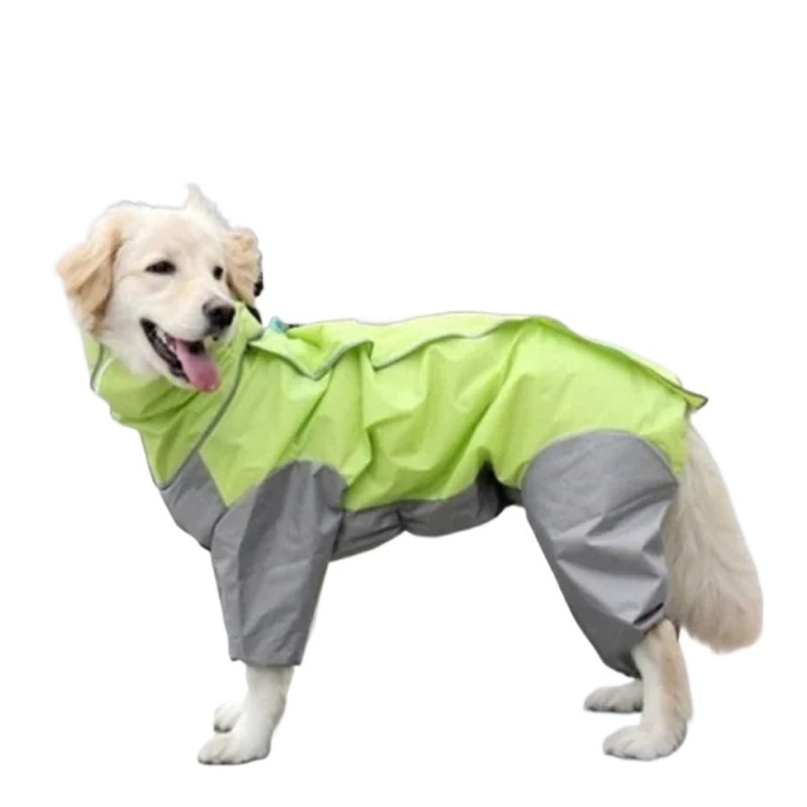 Imperméable imperméable à quatre pattes pour chien fini les poils mouillés