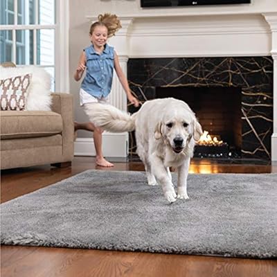 Amazon Com Area Rugs 5x7 Clearance Under 50