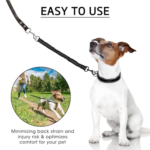 Elastische Hundeleine Mit Ruckdämpfer - Bungee Leine Für Kleine, Mittelgroße Und Große Hunde - Leinenverlängerung Mit Zugdämpfung, Nicht Verwickelnd - Hundetrainingsleine Schwarz