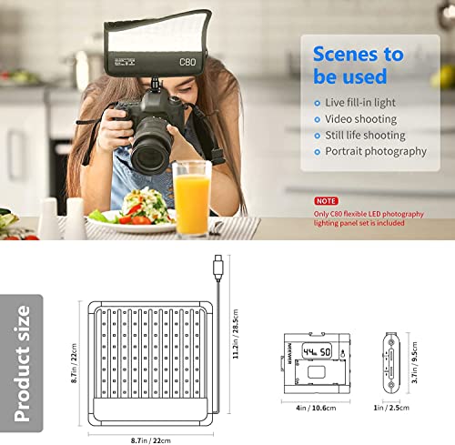 NEEWER Kit di Luce LED Pieghevole Dimmerabile