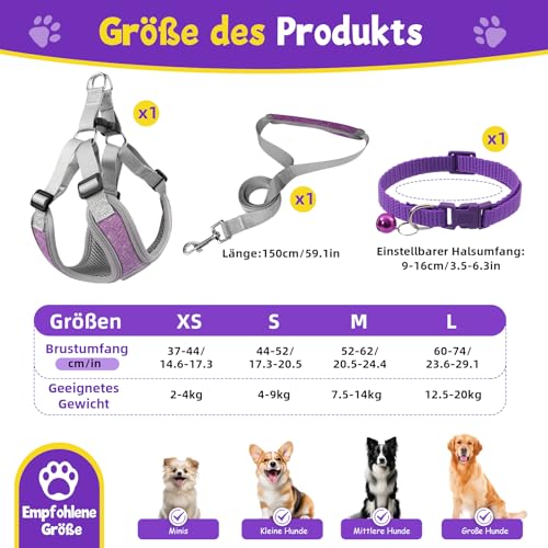 3 Stück Hundegeschirr und Leine Set, Verstellbares Brustgeschirr, Reflektierendes atmungsaktives Hundegeschirr mit D-Ring, Hundegeschirrs Set für Welpen, Kleine Hunde