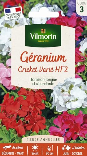 Géranium Cricket Varié