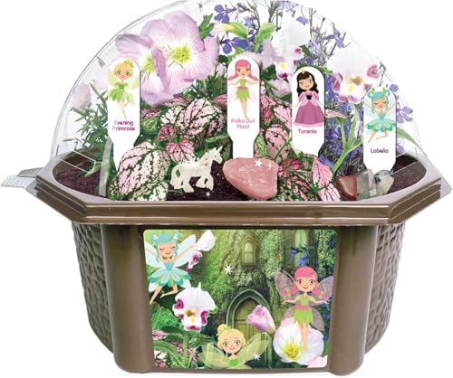 Toys by Nature Fanciful Fairy Biosphere Terrarium Starter Kit, Complete Supplies Included to Create Your Own Enchanting Garden and Indoor Plants! (Fanciful Fairy Garden)