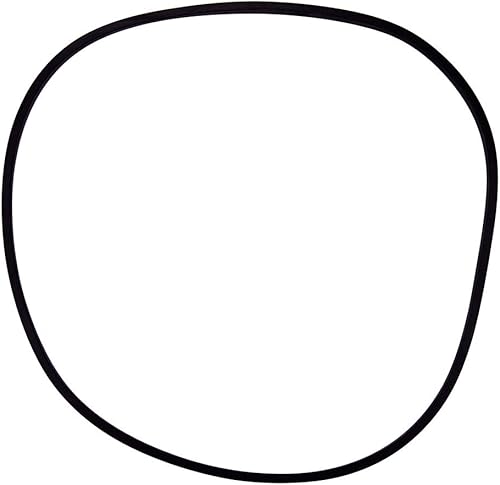 Pentair 355329 Reemplazo de junta tórica de carcasa delantera Bomba de piscina y spa