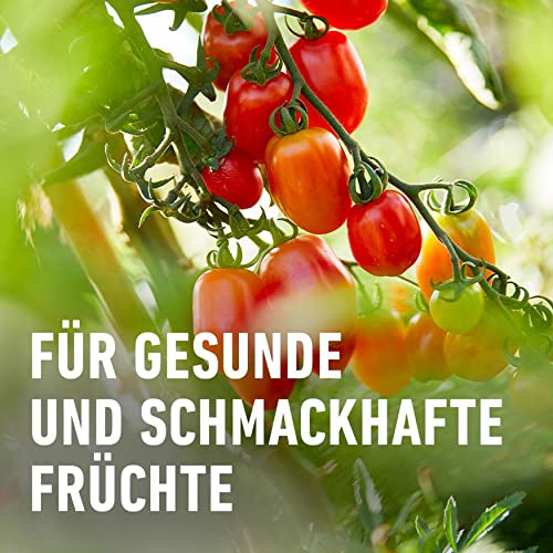 Compo Horn- und Knochenmehl 2,5 kg