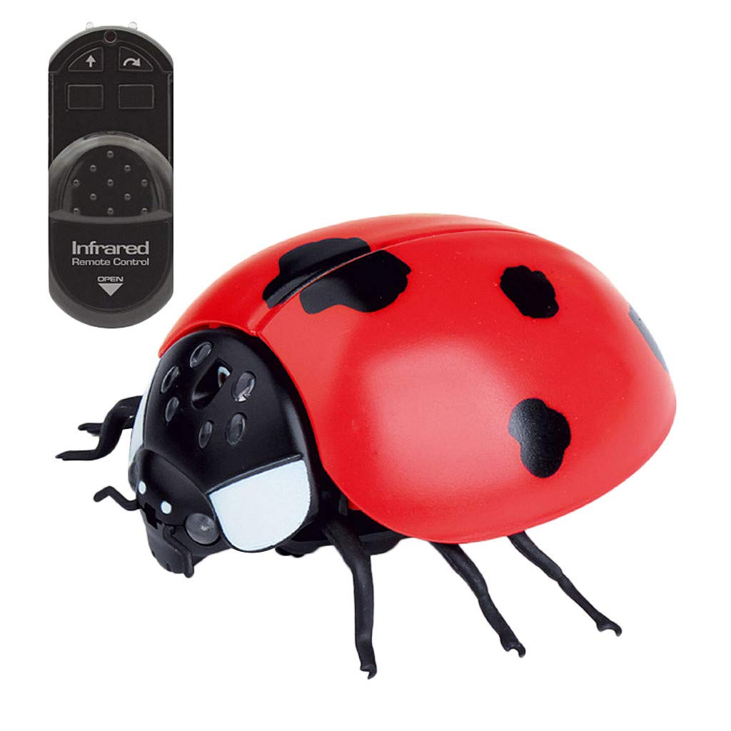 Buy Binory Intelligent RC Ladybug Robot Toy,DIY Radio Control Electric