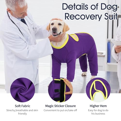 Image of IECOii Dog Recovery Suit,Surgical Suit for Dogs Postoperative Shirt,Breathable Long Sleeve Onesie for Surgery Recovery,Puppy Suit to Prevent Licking Cone Collar Alternative After Surgery,Purple,Small