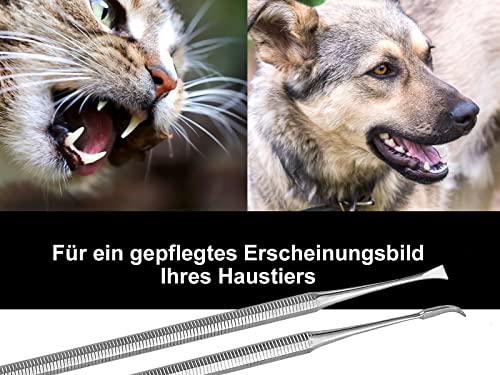 Hunde Zahnsteinentferner Set Zahnreiniger für Tiere 2-Teilig aus Edelstahl Scaler und Flügel vom Fachhandel mit Zahnsteinkratzer – Bild 8