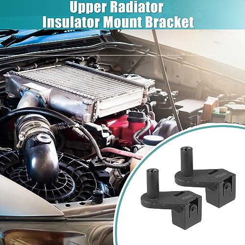 Vitamínicos, Imagen adicional