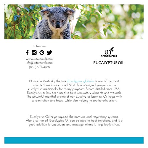 Miniatura 4 de artnaturals Aceite esencial de eucalipto 100 puro 033 onzas líquidas 03fl oz fragancia de grado terapéutico sin diluir calma la calma y humidificar