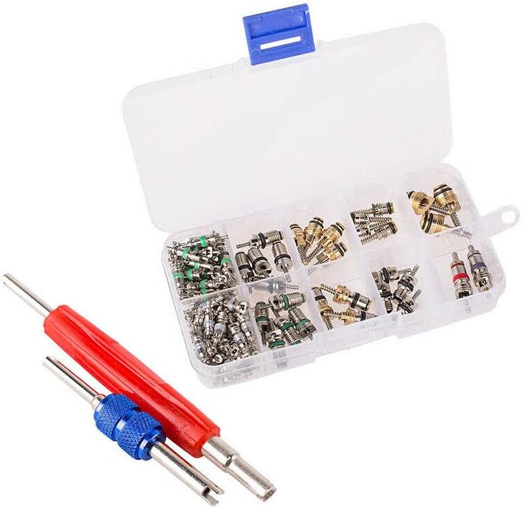 Kit de núcleo de válvula de aire acondicionado para automóvil, aire acondicionado, R12, R134a, válvula de neumático de refrigeración, herramienta