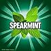 ECLIPSE Spearmint Sugar-Free Chewing Gum, 8 Packs, 18-Count Each Gum Packs