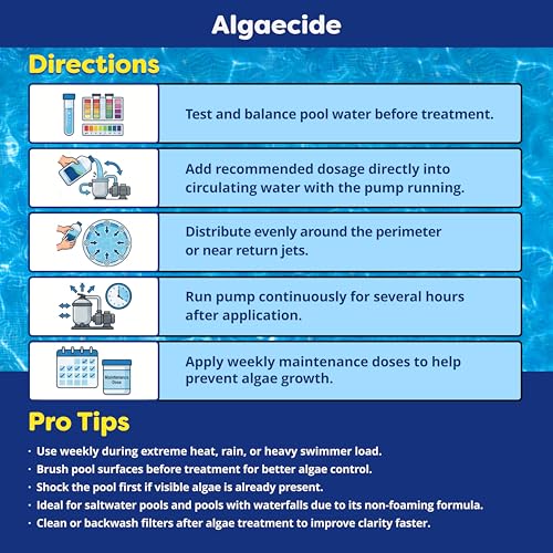 Image of In The Swim Algaecide 60 Plus for Swimming Pools - 1 Quart