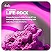 Carib Sea Aquatics Frag Zone - 1.5 lbs Quart - Ideal for Coral Fragging, Supports Healthy Reef Growth, Enhances Tank Stability & Promotes Coral Attachment