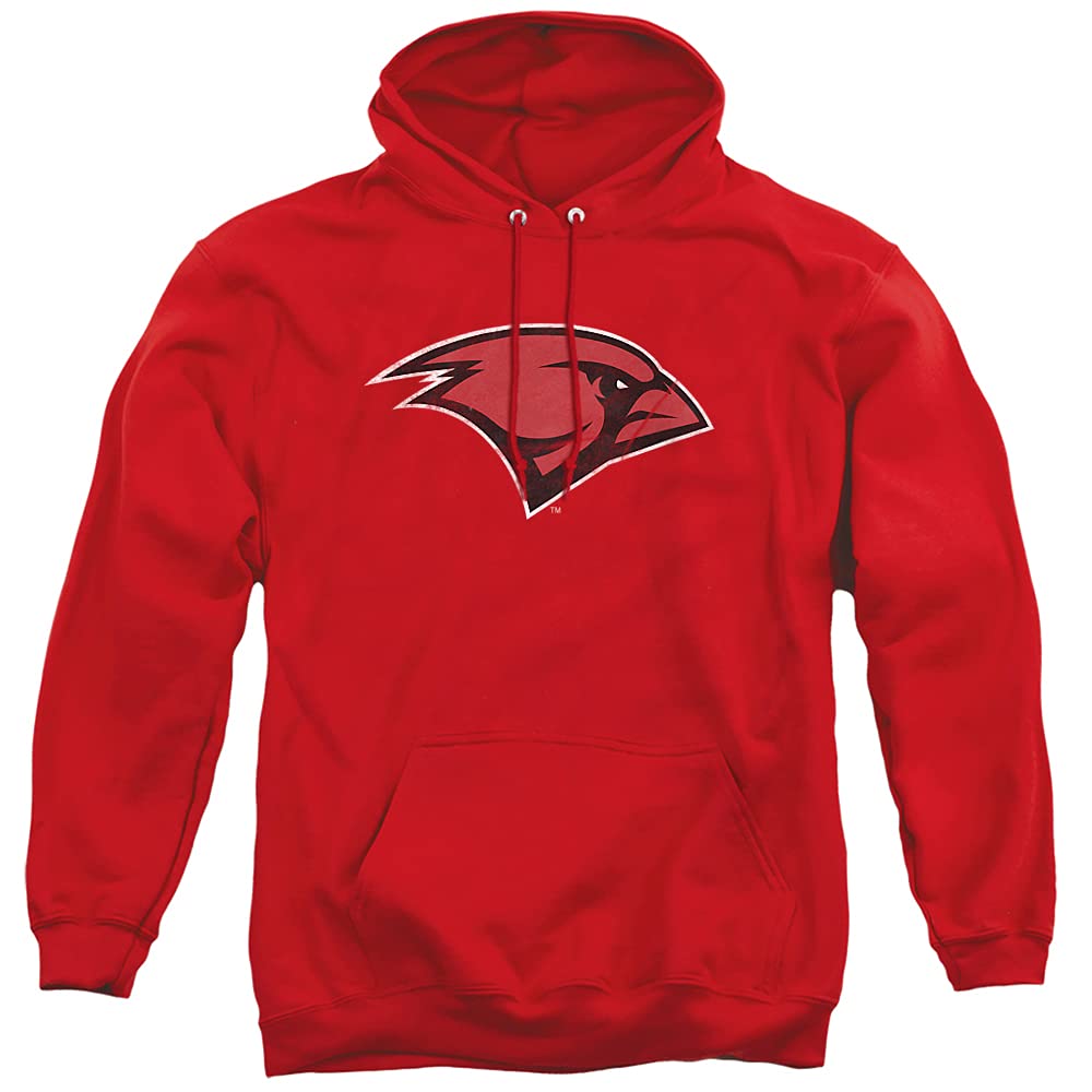 LOGOVISION Official Collegiate Distressed Primary Logo Adult Pullover Hoodie Collection — view 266