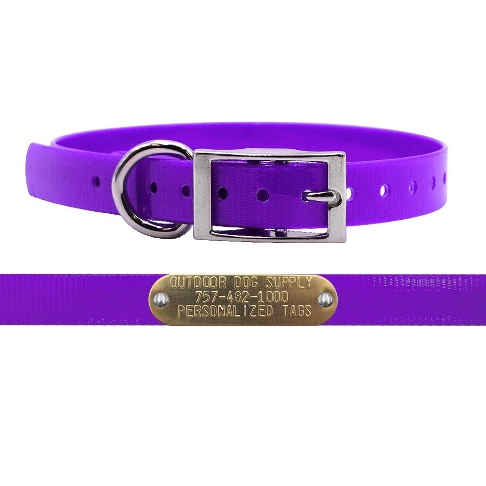 3/4" Waterproof D-Ring Dog Collar Adjustable Fit for Small & Medium Breeds | Custom 3/4" Brass Nameplate – Durable, Odor-Resistant, USA-Made (18",