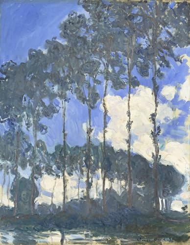 Peinture d'art d'affiche la Pie Claude Monet poster graffiti coup de cœur