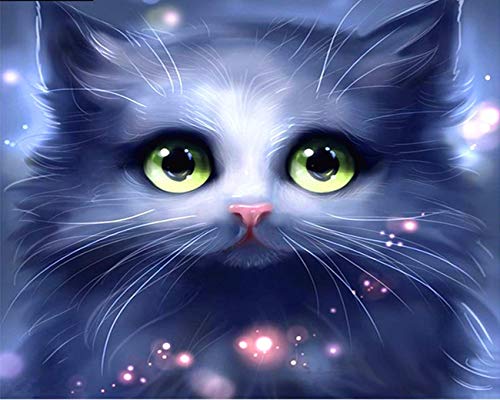 MiDenso Paint by Numbers DIY Easy Funny Painting Kit for Kids Adults Beginner 16" by 20" Colorful Pattern with Gift Wrap Stocking Stuffer Christmas Birthday Gifts for Him Girls, Sexy Cat