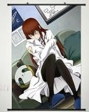 NEW Home Decor Anime Steins;Gate Cosplay Wall Scroll Poster Fabric Painting Makise Kurisu 23.6 X...