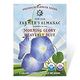 The Old Farmer's Almanac Morning Glory Seeds (Heavenly Blue) - Approx 50 Flower Seeds - Premium Non-GMO, Open Pollinated, USA Origin