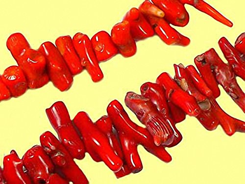 Preisvergleich Produktbild Magic and Arts Korallenäste