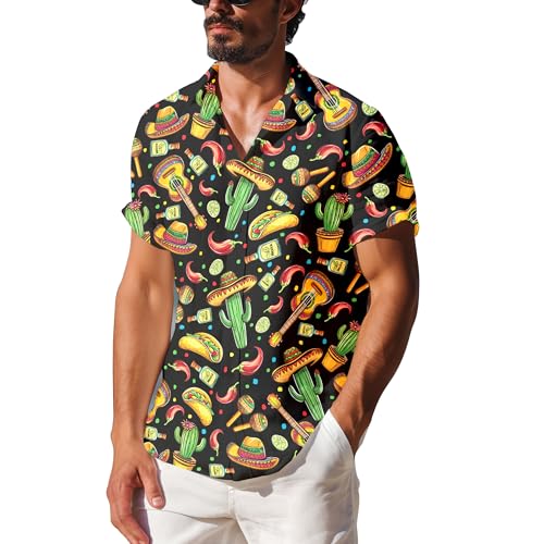 Mens Hawaiian Shirts Short Sleeve Funny Shirts Beach Shirts for Men,Button Down Hawaiian Shirt for Men2