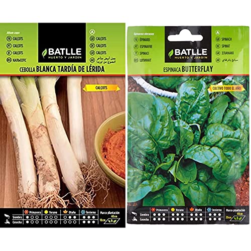 CALÇOTS-Cebolla bca. tardía Lerida & Espinaca BUTTERFLAY