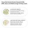 Complement Vegan Omega 3 Supplement- 960mg Omega-3 Fatty Acids, DHA, EPA, SDA, ALA Supplement - Immune Support- 60 Servings, 120 Liquid Capsules