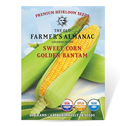 The Old Farmer's Almanac Heirloom Sweet Corn Seeds (Golden Bantam) - Approx 75 Seeds - Non-GMO, Open...