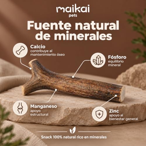 Miniatura 4 de Maikai Asta De Ciervo Para Perro Talla Xl Mordedor Natural Resistente Hueso Masticable Para Cachorros Y Razas Grandes Juguete Duradero Y Seguro Regalo Perros Navidad